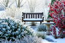Embrace the Chill: Cultivating a Vibrant Winter Garden
