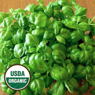 Herbal Seeds - South Mountain Nursery