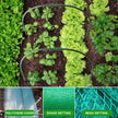 For Plants Row Cover Greenhouse Hoop Garden Hoops 11mm Durable Portable Raised Beds Netting Sturdy Planting Support Frame - South Mountain Nursery