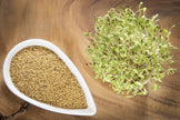 Alfalfa Seeds – Organic Sprouting Seeds – Non - Gmo Premium Alfalfa Seeds – Rich in Vitamins, Minerals, Fiber - South Mountain Nursery