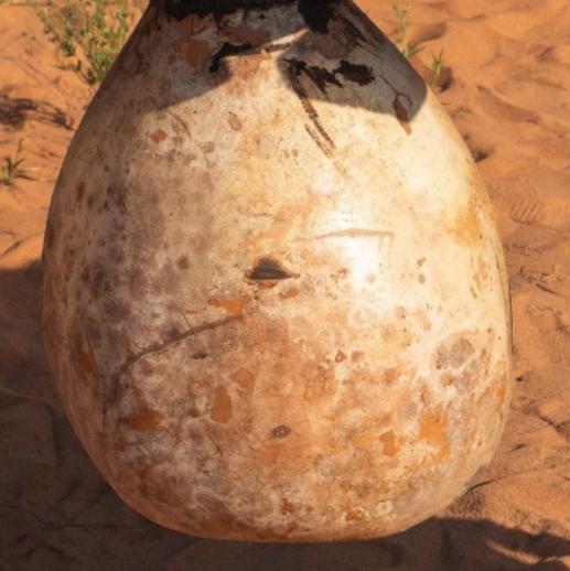 Bushel Gourd Seeds - Lagenaria Siceraria - Easy to Grow Vegetable Garden - South Mountain Nursery