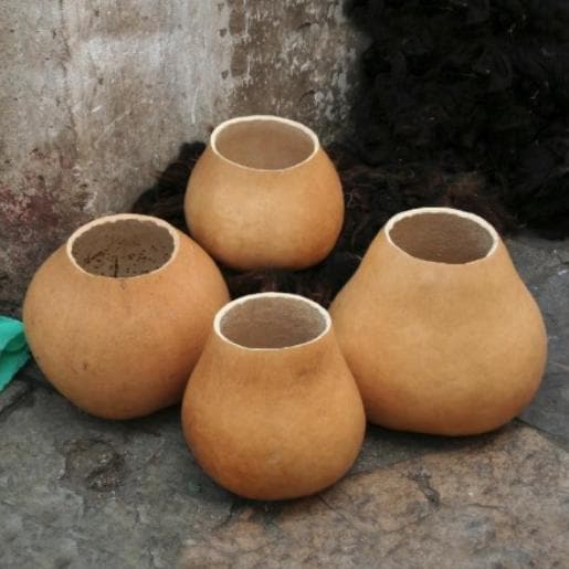 Bushel Gourd Seeds - Lagenaria Siceraria - Easy to Grow Vegetable Garden - South Mountain Nursery