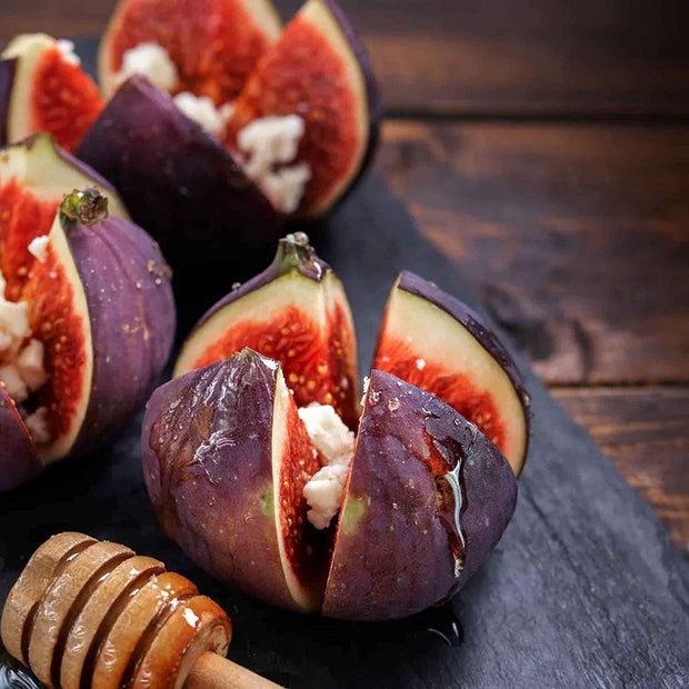 Ficus Carica Fig - 100 Seeds - Sweet Fruit Shrub Tree - South Mountain Nursery