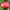 Organic Giant Belgian Pink Heirloom Tomato Seeds - Non GMO - Easy to Grow Vegetable Garden - South Mountain Nursery