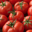 Organic Marglobe Heirloom Tomato Seeds - Non GMO - Easy to Grow Vegetable Garden - South Mountain Nursery