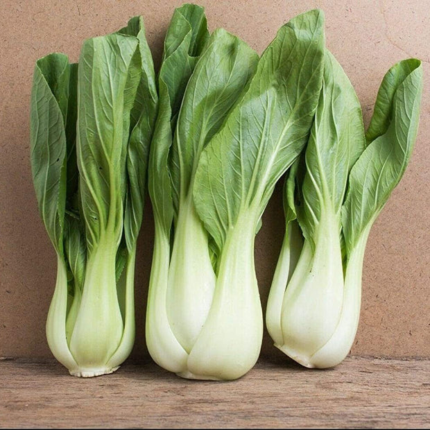 Pak Choi - 500 Seeds - Bok Choy Asian Vegetable Seeds Chinese Cabbage - South Mountain Nursery