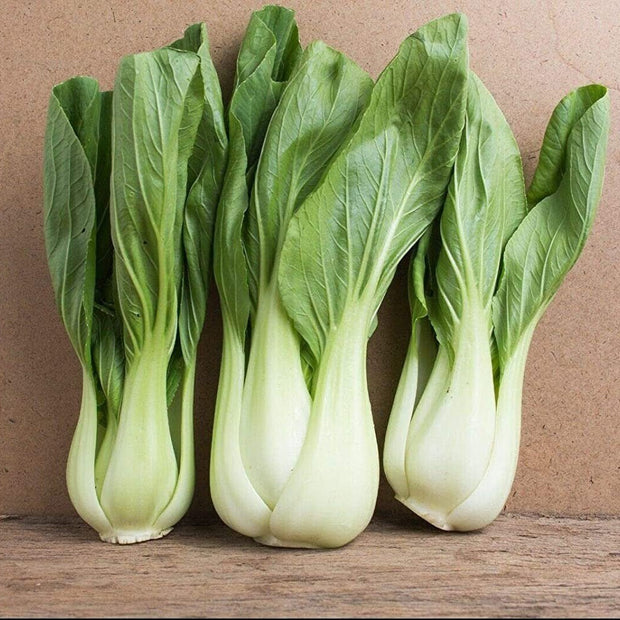 Pak Choi - 500 Seeds - Bok Choy Asian Vegetable Seeds Chinese Cabbage - South Mountain Nursery