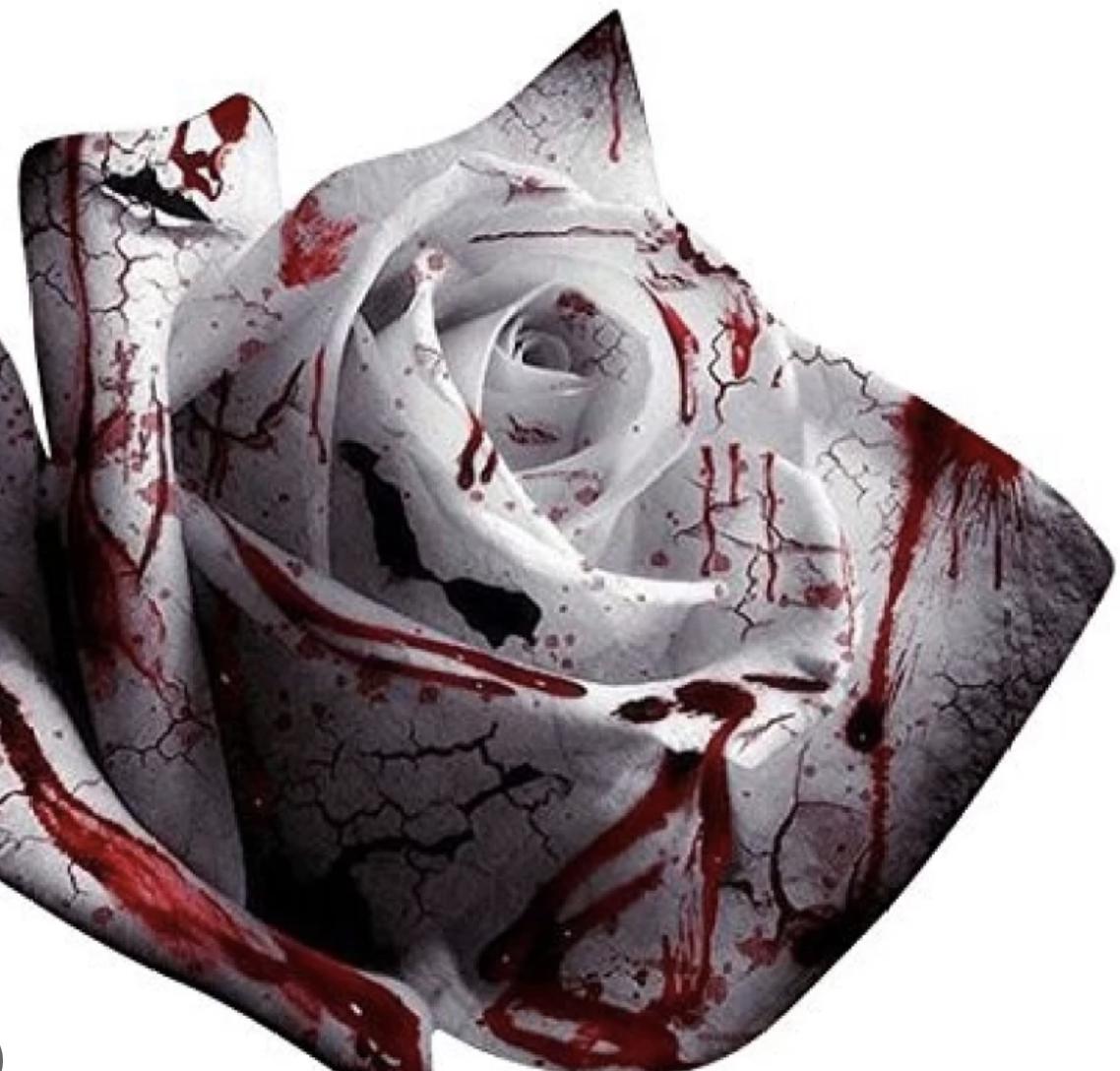 true blood rose seeds Rare White Blood Rose Plant Flower Seeds Flower Garden Asaka Rare True Blood Rose