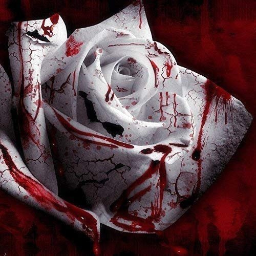 Rare White Blood Rose Plant Flower Seeds Flower Garden Asaka Rare True Blood Rose - South Mountain Nursery