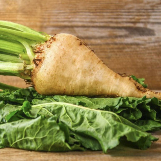 Sugar Beet - 250 Seeds - Non - Gmo Heirloom - South Mountain Nursery
